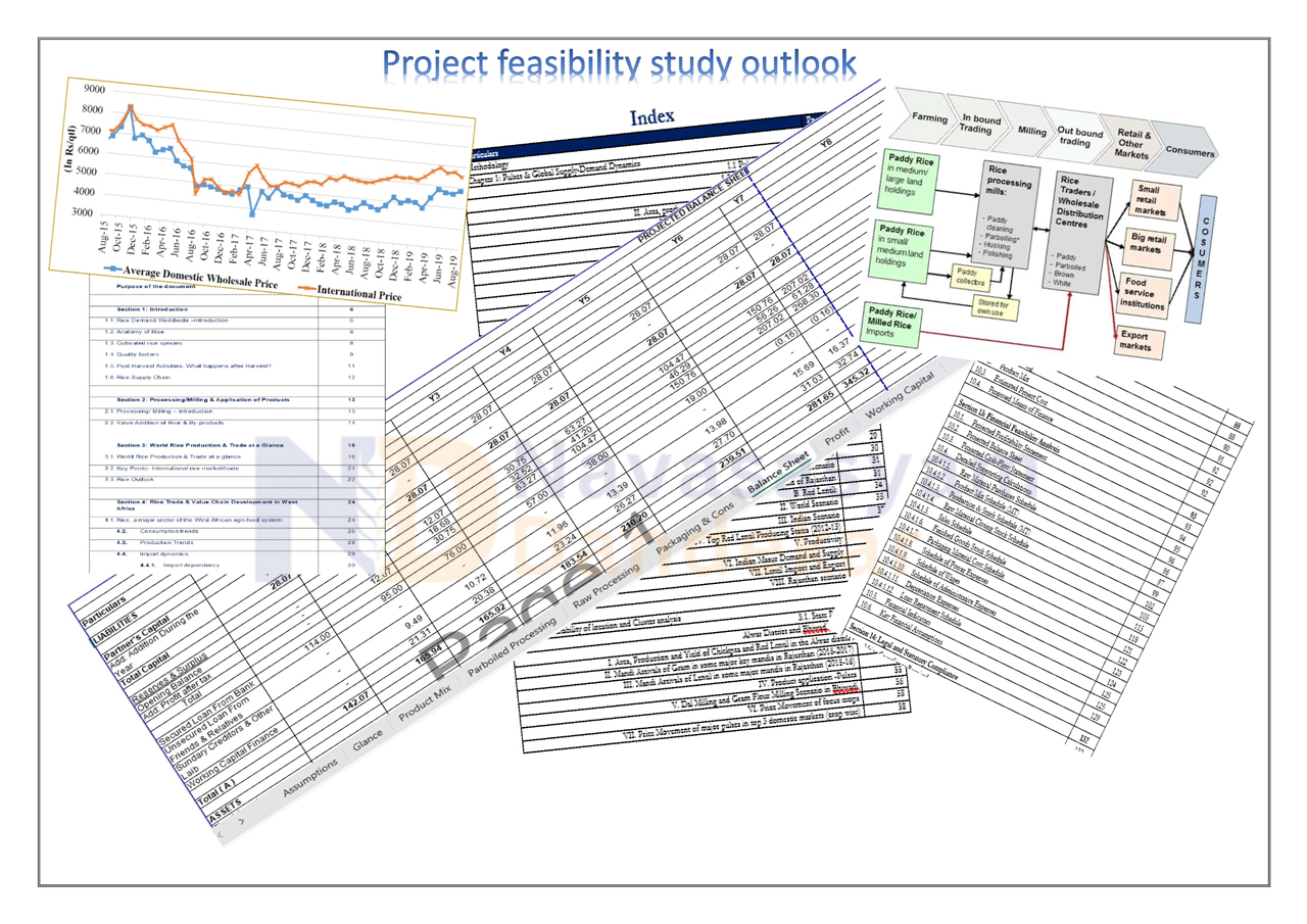 Project Feasibility Study Outlook
